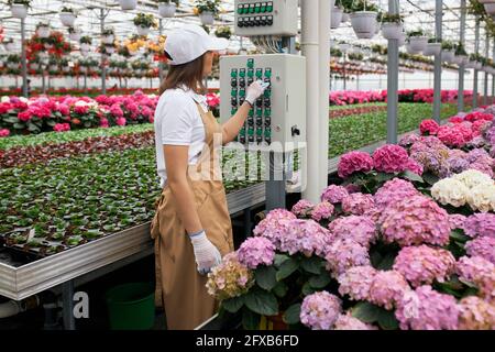 Qualified female gardener in protective apron and gloves using modern gardening equipment for watering flowers at greenhouse. Concept of floristic industry and technology. Stock Photo