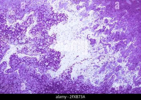 Purple painted background, paint, abstract violet pattern, magenta texture, liquid ink. Modern wash drawing, painting. Stained surface,  grunge textur Stock Photo