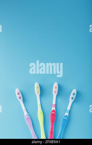 Four toothbrushes on a blue background. Free space, isolate Stock Photo
