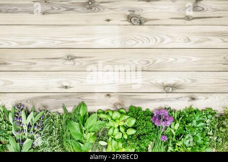 Fresh kitchen herbs on wooden background. Organic food concept Stock Photo