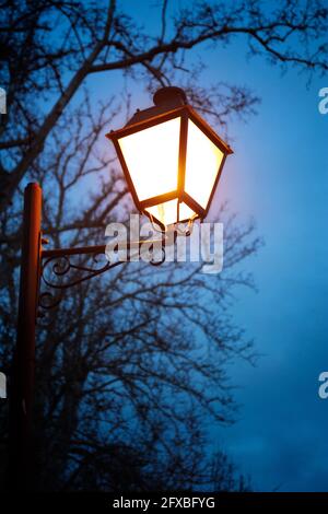 lamppost illuminated with a warm light, at nightfall on a bluish night sky. located in a walk with trees