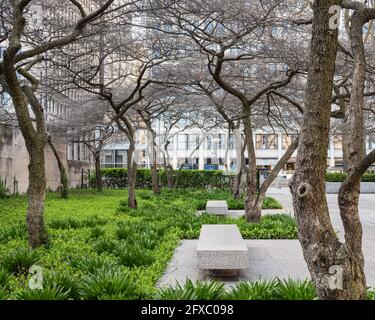 Art Institute of Chicago South Garden designed by Dan Kiley Stock Photo