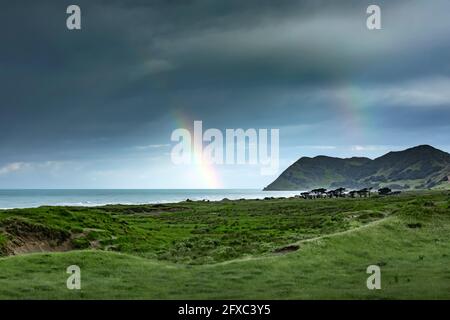 Double rainbow piercing dark storm clouds over green coastal terrain Stock Photo