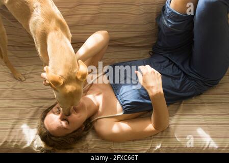 Dog licking female pet owner lying on sofa at home Stock Photo