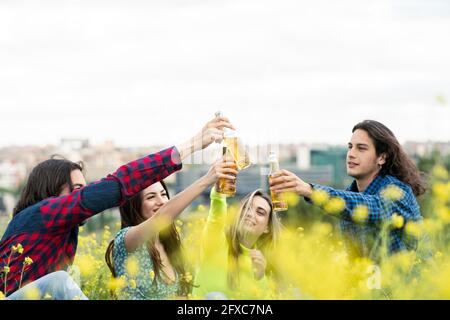Friends toasting beer bottles while sitting on field in nature Stock Photo