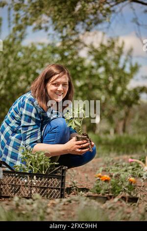 Smiling woman holding tomato seedling while crouching in back yard Stock Photo