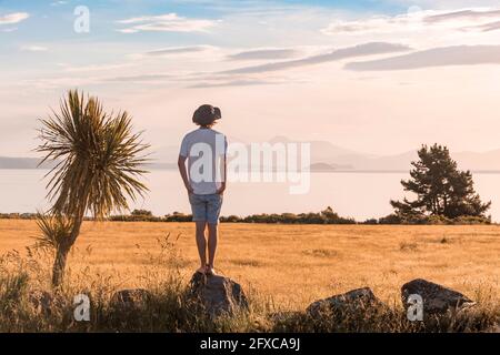 Young man standing on top of small boulder looking at grassy landscape at dusk Stock Photo