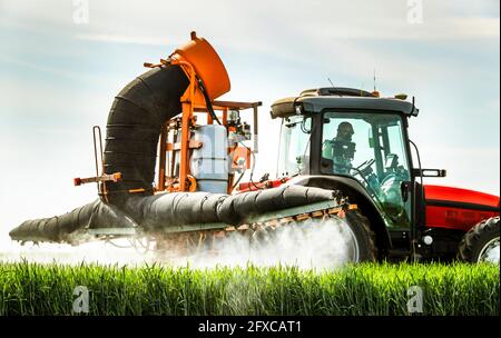 Farmer spraying herbicide on wheat crop while sitting in tractor Stock Photo