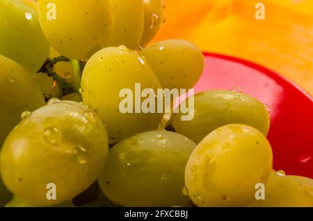 still life - a large brush of green grapes with water drops in a red ceramic plate on a wooden background Stock Photo