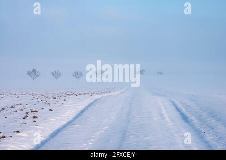 Germany, Baden Wurttemberg, Snow covered dirt road in fog Stock Photo
