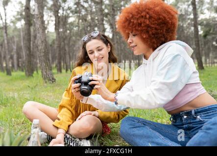 Female friends looking at photograph in camera while sitting at forest Stock Photo