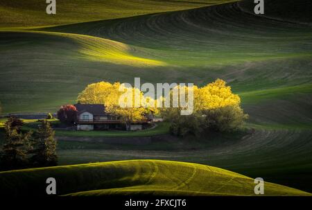 View of beautiful farm land rolling hills from Steptoe Butte Park in Washington Stock Photo