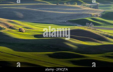 View of beautiful farm land rolling hills from Steptoe Butte Park in Washington Stock Photo