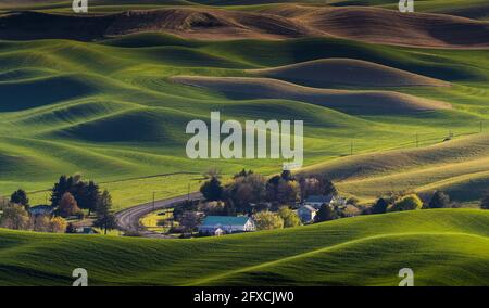 View of beautiful farm land rolling hills from Steptoe Butte Park in Washington Stock Photo