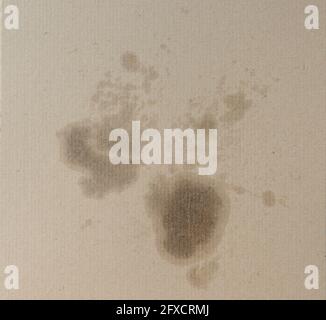 Dense texture of paper, packaging material, cardboard. Stock Photo