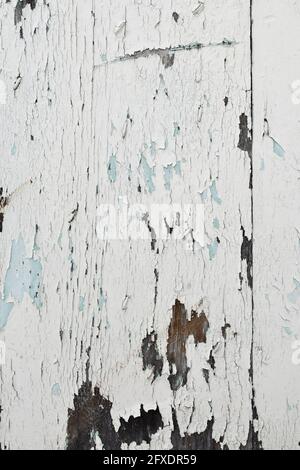 Peeling white paint exposes previous layers of brown and blue on an old garage door. Stock Photo