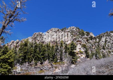 Wasatch Front Mount Olympus Peak hiking trail inspiring views in spring via Bonneville Shoreline, Rocky Mountains, Salt Lake City, Utah. United States Stock Photo