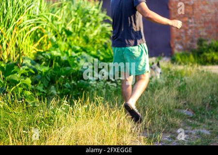 Defocus young man walking with a dog, siberian laika husky, in the village, countryside. Summertime, side view. The pet drags the owner. Blurred Stock Photo