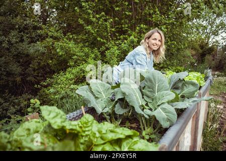 young pretty woman with blue shirt and gloves with flower design posing by raised bed full of fresh vegetables and lettuce Stock Photo