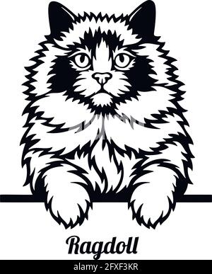 Cute Ragdoll Cat Clipart Illustration and Black and White. Kawaii Clip ...