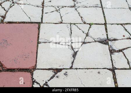 Old Cracked paving tiles. White and red wet sidewalk with deep cracks. Daytime. Shooting in the rain. Selective focus. Stock Photo