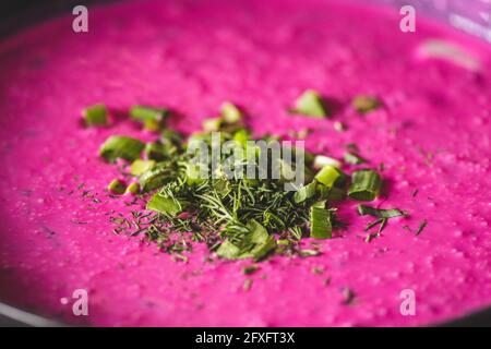 Cold borscht or saltibarsciai, Lithuanian cold beetroot soup, blended with sour cream or yogurt, and sprinkled with chives, as served in Lithuania Stock Photo
