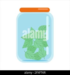Mint leaves in a glass jar with a closed lid, blanks of dried herbs, vector illustration in flat style, isolate, cartoon Stock Vector