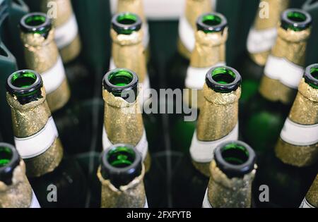 Top view of empty green beer bottles in the crate. Recycling of empty glass beer bottles. Stock Photo