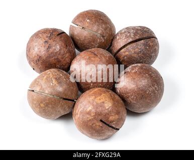 several sawn macadamia nuts closeup on white background Stock Photo