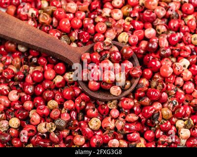 wooden spoon on pile of pink peppercorns (Baie rose) closeup Stock Photo