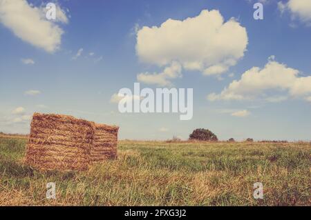 Vintage landscape showing straw bales on stubble field. Agricultural or rural landscape in summer photographed in Poland. Stock Photo