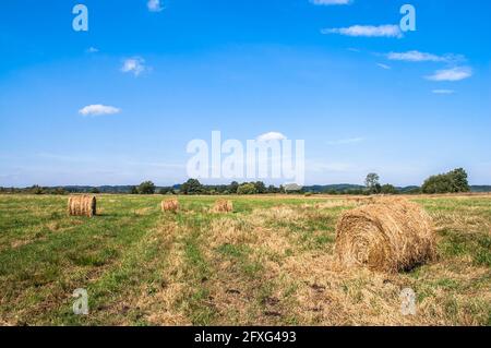 Landscape with straw bales on stubble field. Agricultural or rural landscape in summer photographed in Poland. Stock Photo