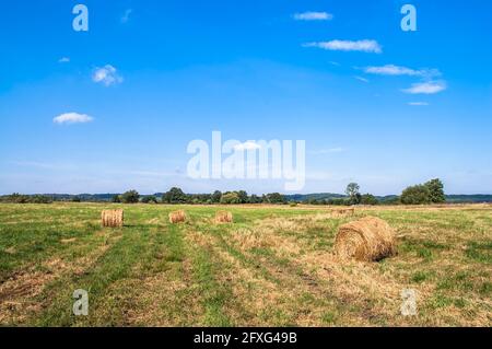 Landscape with straw bales on stubble field. Agricultural or rural landscape in summer photographed in Poland. Stock Photo