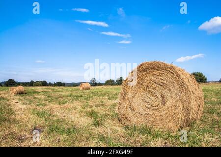 Landscape with straw bales on stubble field. Agricultural or rural landscape in summer photographed in Poland. Stock Photo