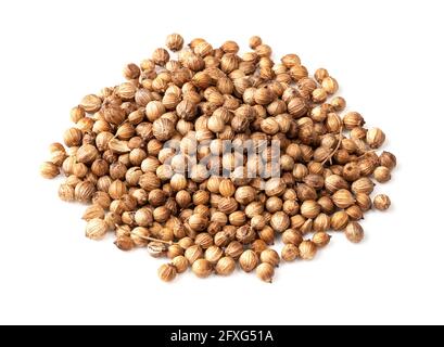 pile of dried coriander seeds closeup on white background Stock Photo