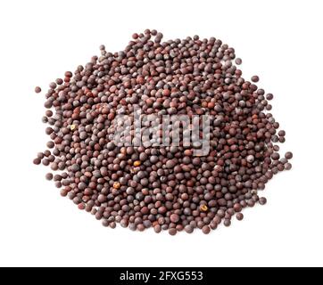 pile of black mustard (Brassica nigra) seeds closeup on white background