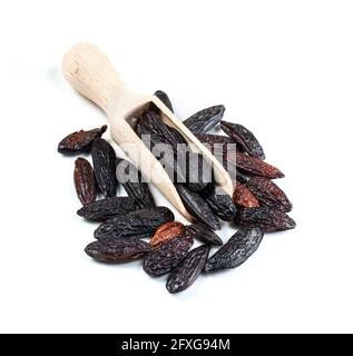 wooden scoop on pile of dried tonka beans on white background Stock Photo