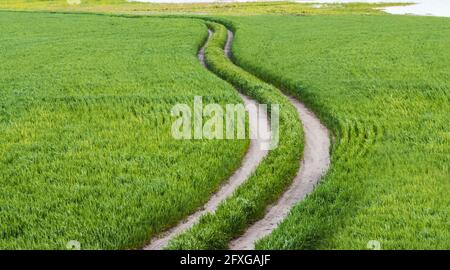 beginning of the way, beautiful road winds through a green field Stock Photo