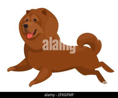 Running Chow Chow. Beautiful dog in cartoon style. Stock Vector