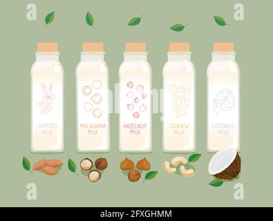 Nuts milk. Bottles of plant based vegan nuts milk - coconut, almond, cashew, macadamia, hazelnut. Vector illustration of vegan o vegetarian product of Stock Vector