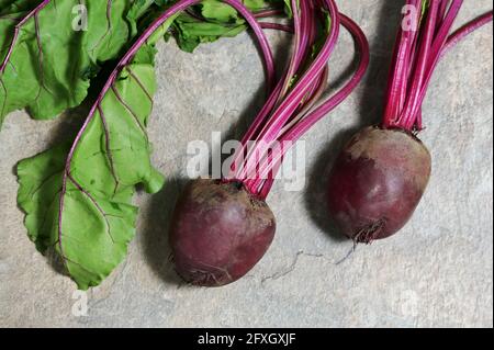 Red Beet Root With Leaves on stone table Stock Photo