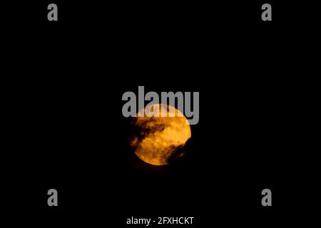 Yellow New Moon rises behind the clouds. Blood moon. Flower moon. Lunar eclipse. Astronomy and astronomical concept. Stock Photo