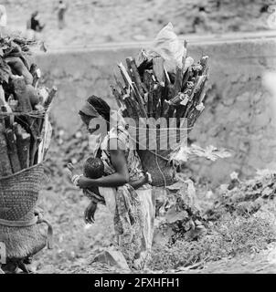 Woman with child carrying a load of firewood in the countryside, October 24, 1973, firewood, children, women, The Netherlands, 20th century press agency photo, news to remember, documentary, historic photography 1945-1990, visual stories, human history of the Twentieth Century, capturing moments in time Stock Photo