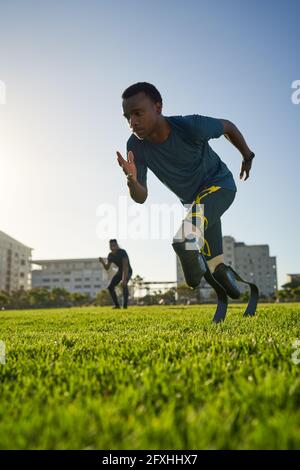 Focused male amputee sprinter training in sunny sports field Stock Photo