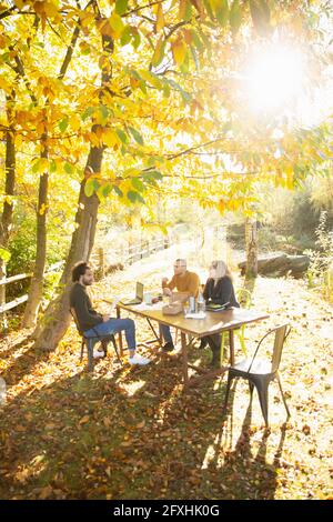 Business people having lunch meeting in sunny idyllic autumn park Stock Photo
