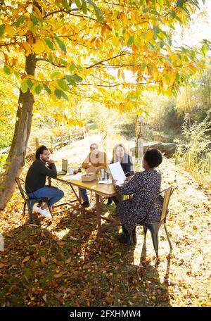 Business people with paperwork meeting at table in sunny autumn park Stock Photo