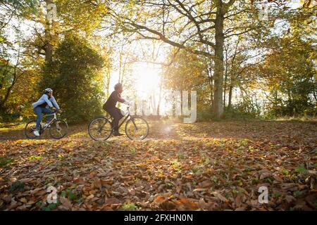 Couple riding bicycles in autumn leaves in sunny sunny park Stock Photo