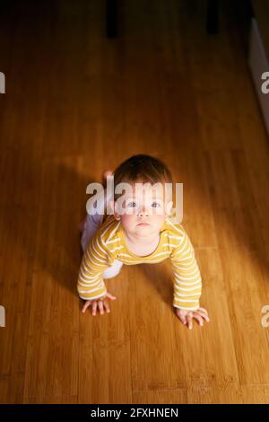 Serious toddler crawls on the wooden floor in the room. View from above Stock Photo