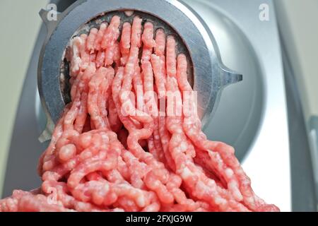 Meat grinder in action and ground beef meat. electric meat grinder.  Unidentifiable butcher holding tray full of minced raw red meat leaving  machine in Stock Photo - Alamy