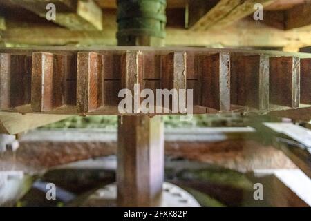 Close up of a wooden cogwheel seen in the old colonial mill. Black Creek Pioneer Village is a famous place and tourist attraction which re-creates a c Stock Photo
